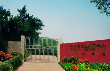 今年会研发基地