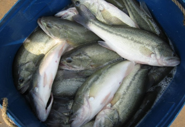 今年会 | 官方网站