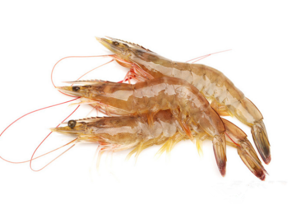 今年会 | 官方网站